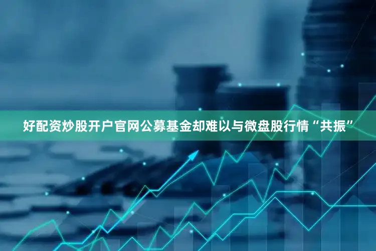好配资炒股开户官网公募基金却难以与微盘股行情“共振”