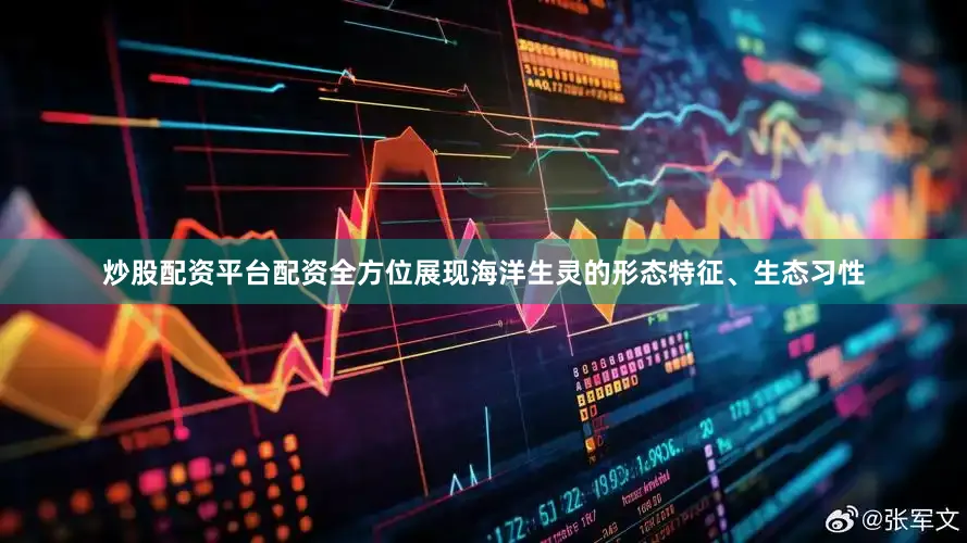 炒股配资平台配资全方位展现海洋生灵的形态特征、生态习性
