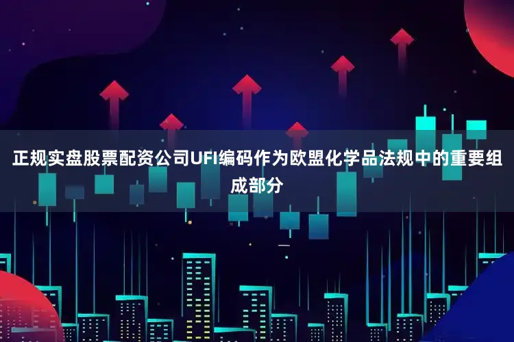 正规实盘股票配资公司UFI编码作为欧盟化学品法规中的重要组成部分