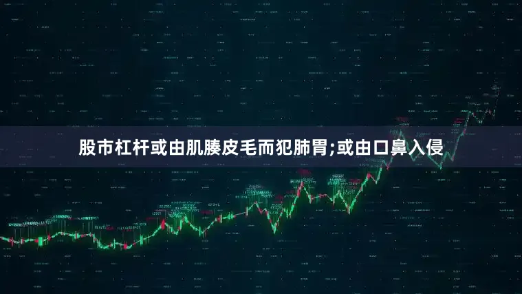 股市杠杆或由肌腠皮毛而犯肺胃;或由口鼻入侵